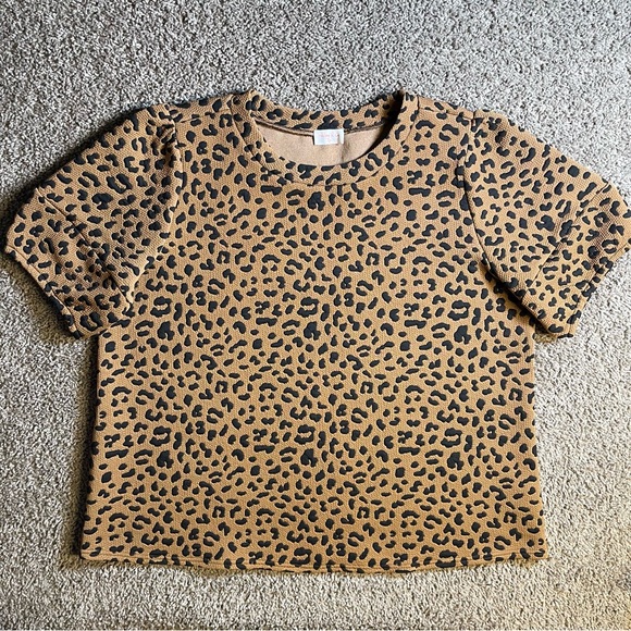 Hailey & Co cheetah 3X short puff sleeve pullover blouse crewneck top Office - Picture 2 of 7
